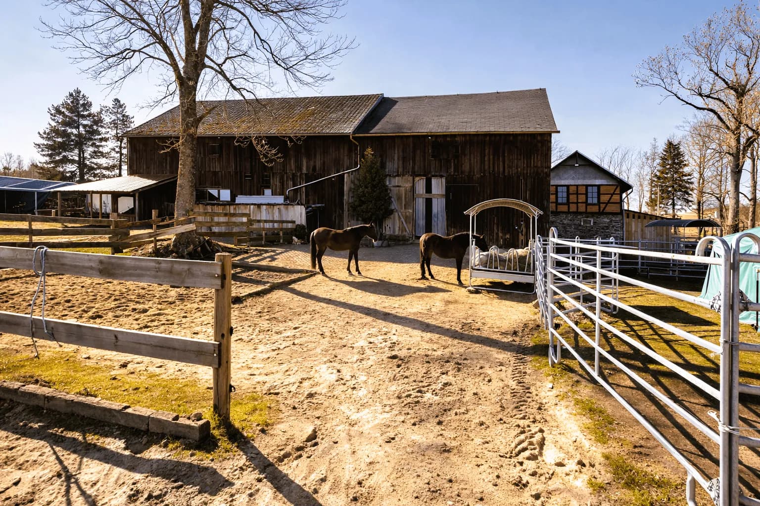 Eingezäunter Pferdeauslauf (Paddock) mit überdachter Heuraufe, Holz- und Metallgittern vor der Kulisse einer traditionellen Holzscheune und eines Wohnhauses.