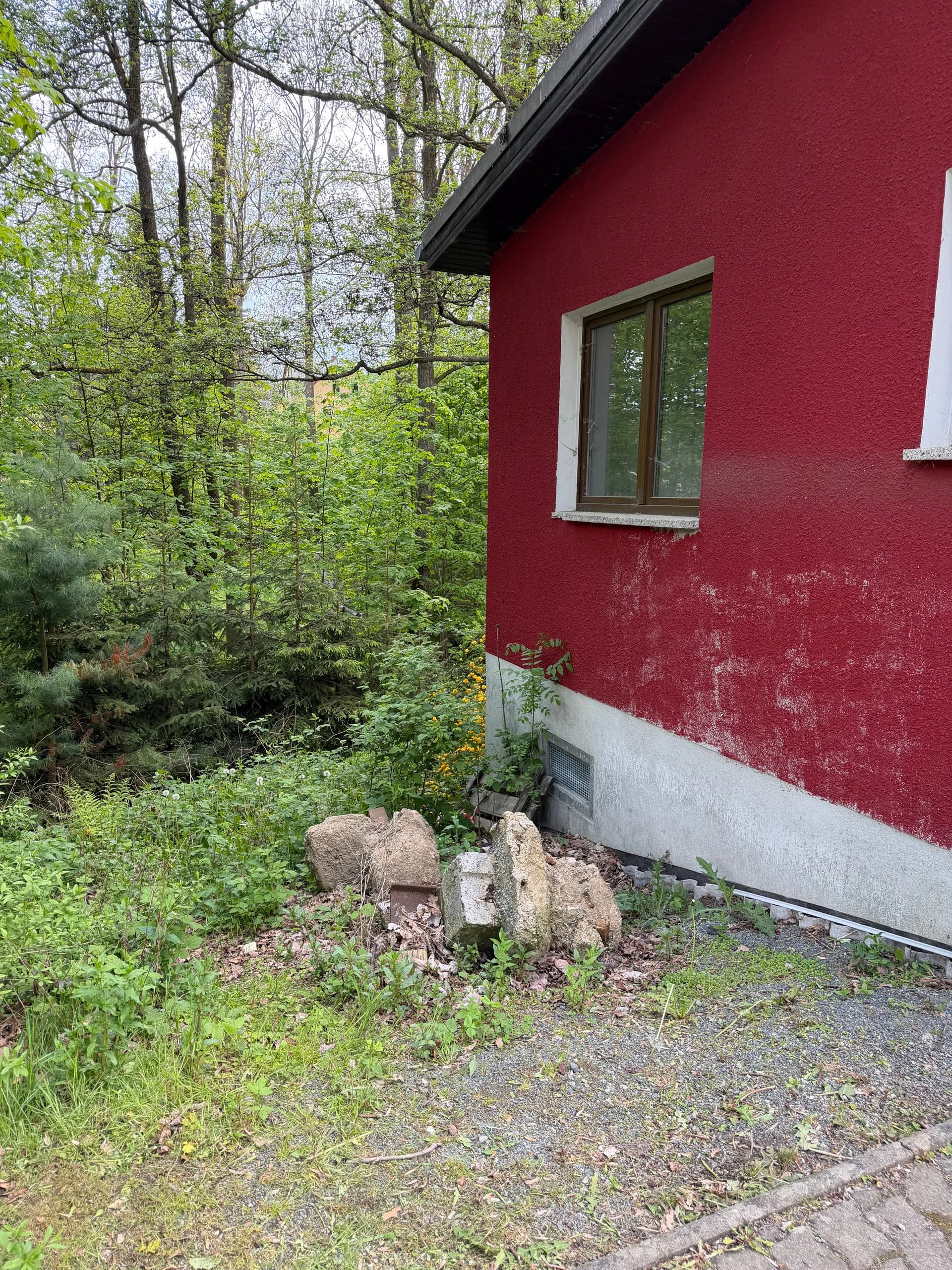 Seitliche Fassadenansicht mit rotem Putz, isolierverglastem Fenster, Sockelbelüftung und Übergang zum bewaldeten Grundstücksteil.