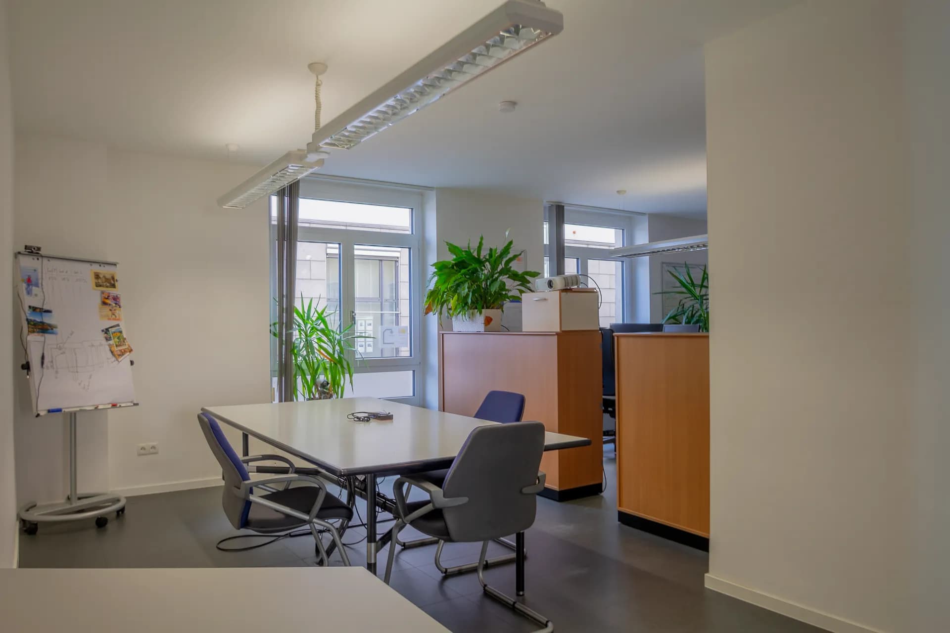 Helles Großraumbüro mit modernen IT-Arbeitsplätzen, ergonomischen Bürostühlen, Schreibtischinseln, Pflanzendekoration und breiter Fensterfront.