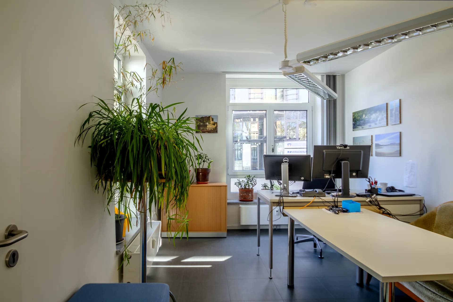 Heller separater Büroraum der Gewerbeeinheit in Hof mit Doppelarbeitsplatz, Decken-Pendelleuchten, Grünpflanzen und breitem Tageslichtfenster.