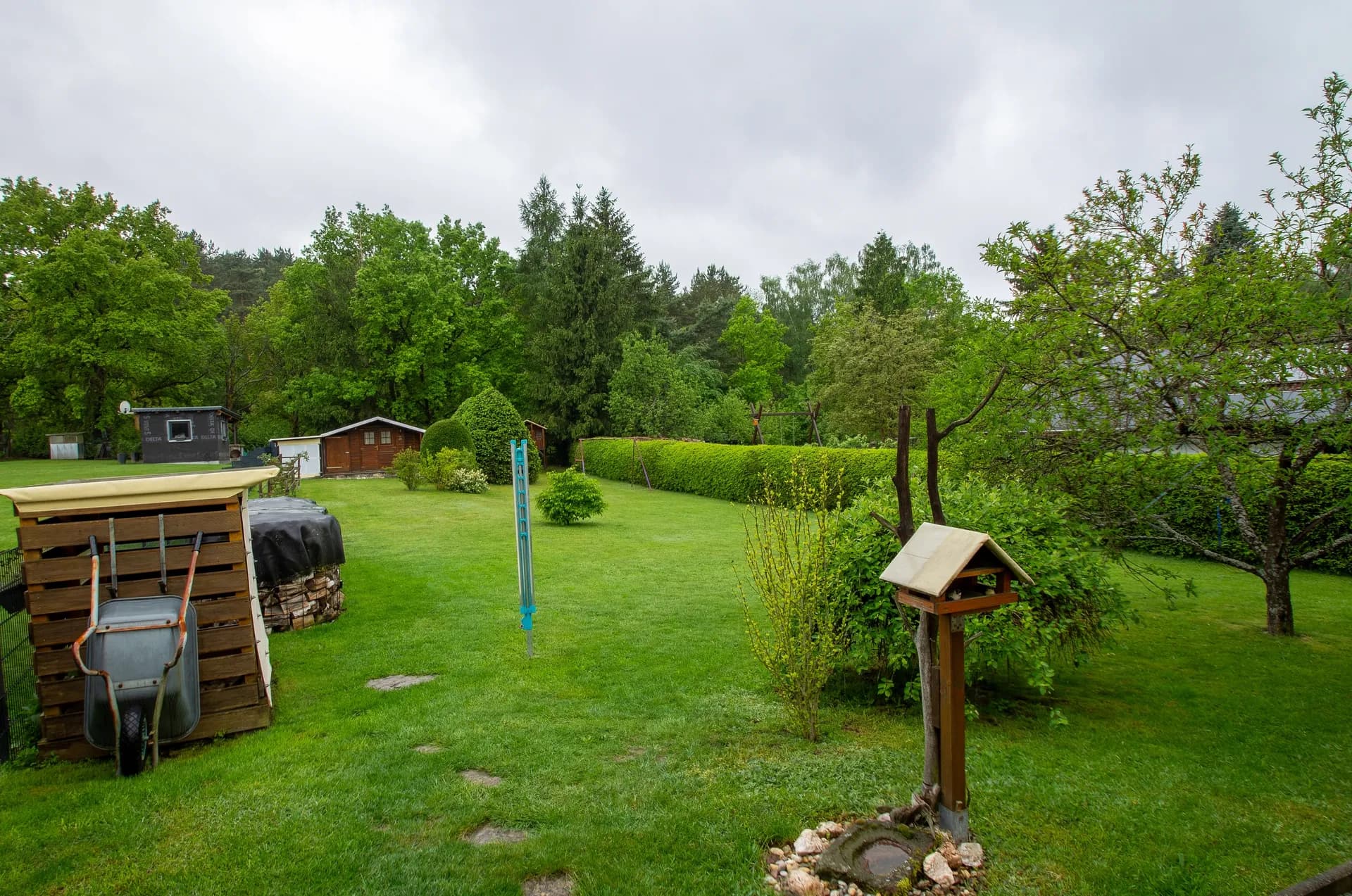 Großer, gepflegter Garten mit ebener Rasenfläche, Ziersträuchern, blickdichter Hecke und vollständiger Umzäunung.