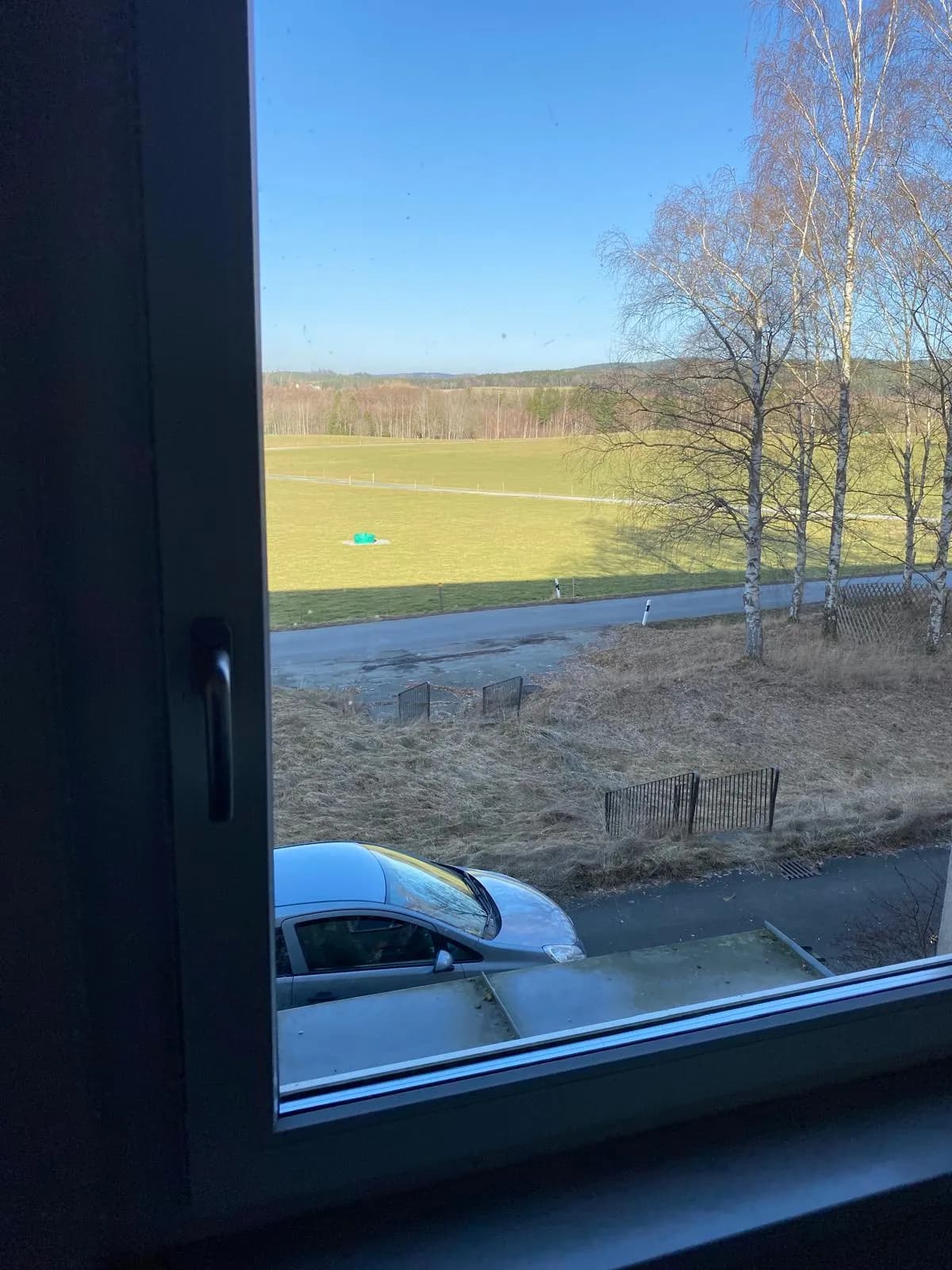 Malerischer Ausblick aus dem Wohnungsfenster über weite Wiesenflächen, Birkenbäume und angrenzende Wälder bei sonnigem Wetter
