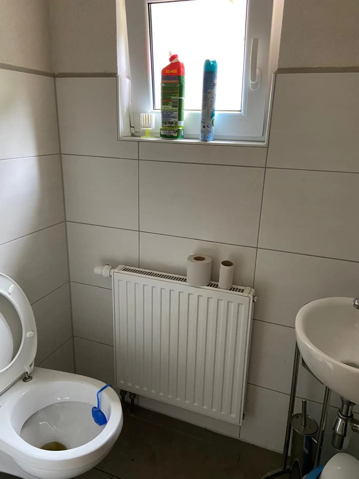Gefliestes Gäste-WC mit Stand-WC, kompaktem Handwaschbecken, Heizkörper und isolierverglastem Tageslichtfenster.