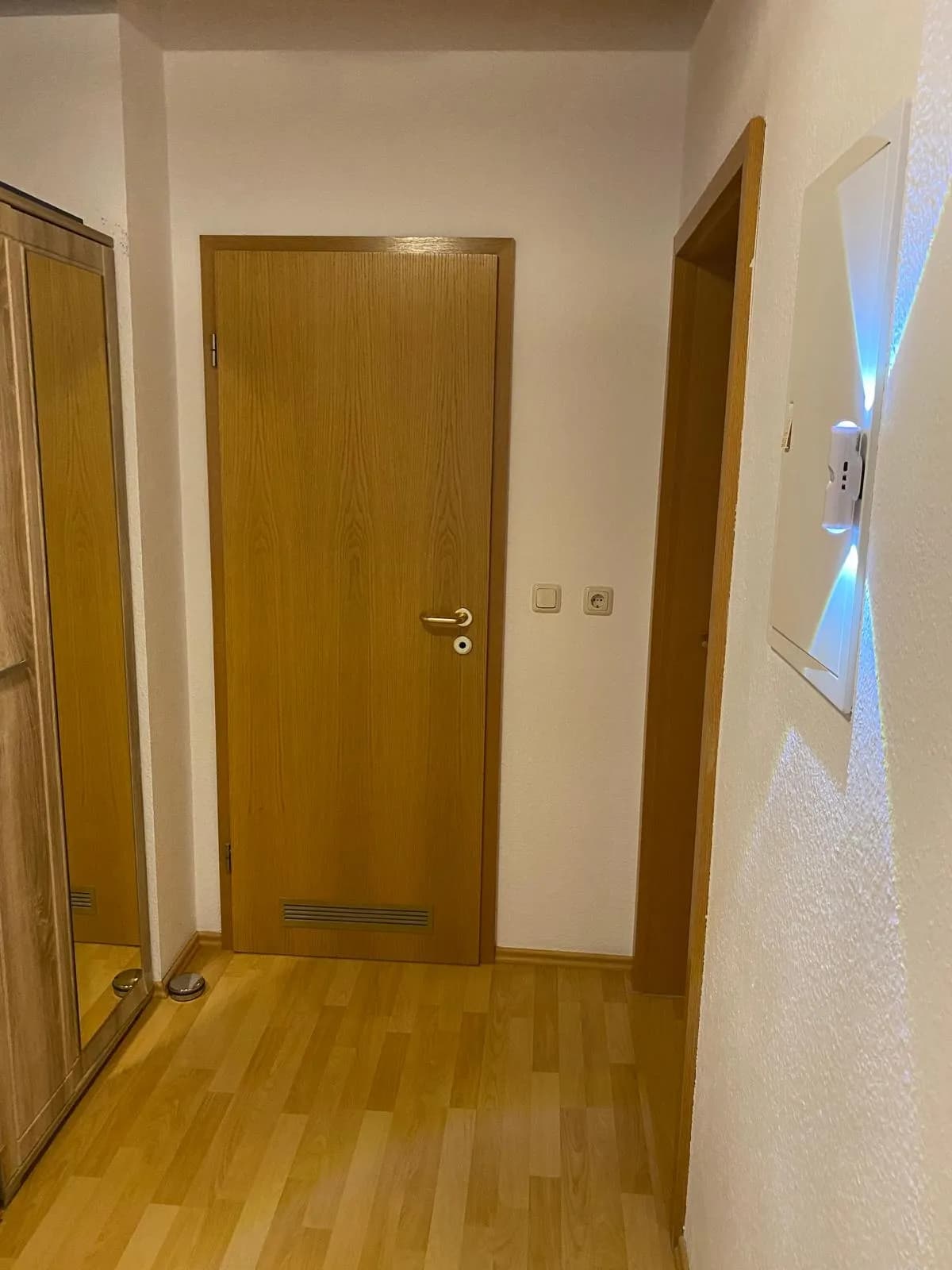 Kompakter Eingangsbereich mit Holzoptik-Laminatboden, beleuchtetem Wandsicherungskasten, Spiegelschrank und furnierten Innentüren.