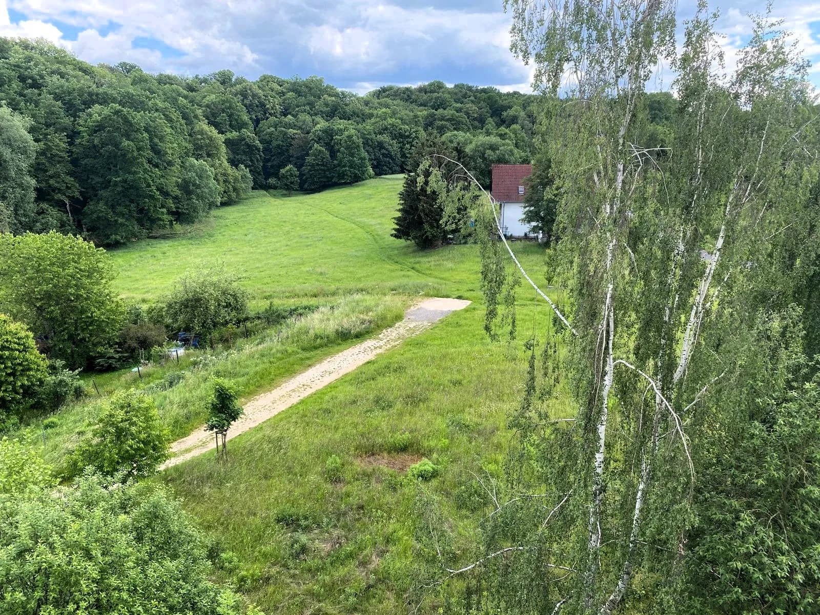 Malerischer Fernblick aus dem Fenster über Birkenbäume, weitläufige grüne Wiesen und den angrenzenden Waldrand mit Einfamilienhaus.